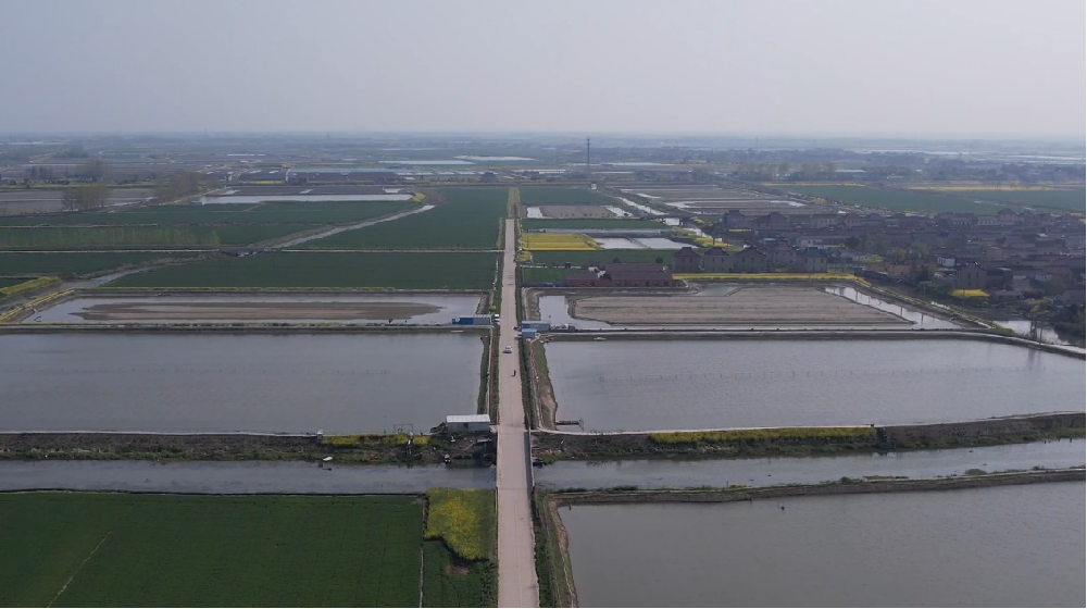 2025媒体管家：运满满助力“农村公路+产业”  铺就乡村振兴“快车道”