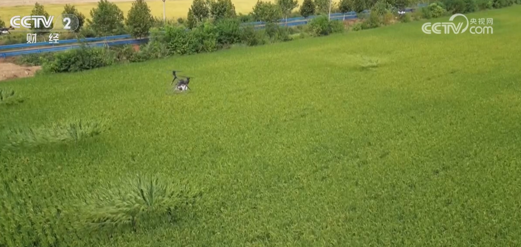 2025媒体管家官方：低空经济催生无人机