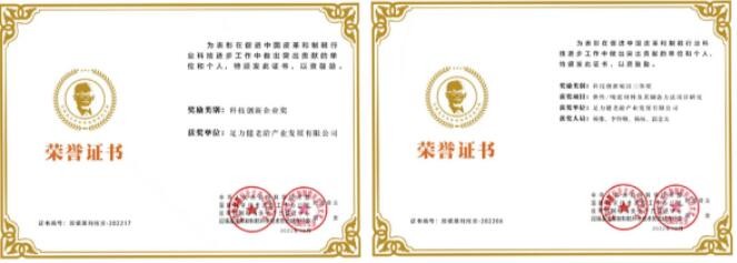 足力健老人鞋荣获2022“段镇基皮革和制鞋科学技术奖”