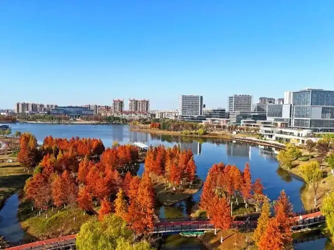 2024年生态环境质量改善指标顺利完成年度目标