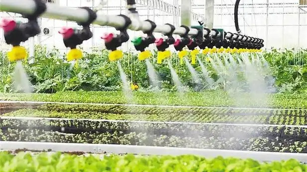 我国将构建运转高效的农业科技创新体系