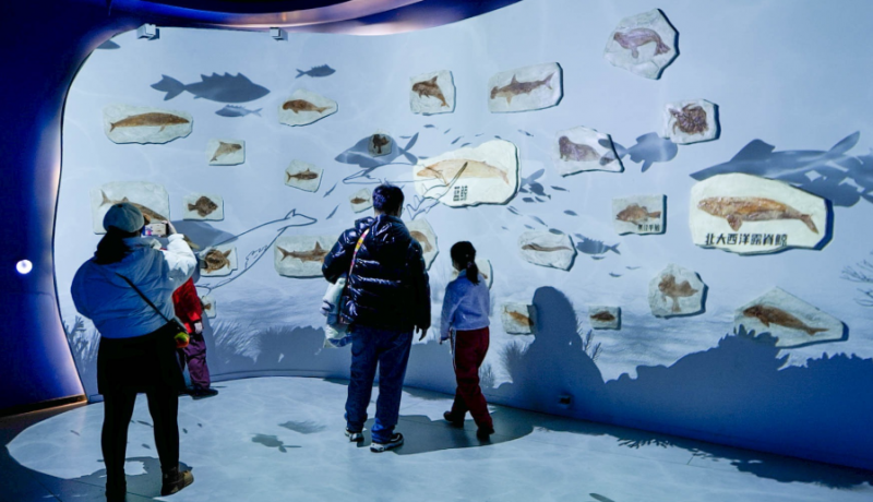 数字化展馆光影互动设计：思特科技刷新数字创意“保守”现状