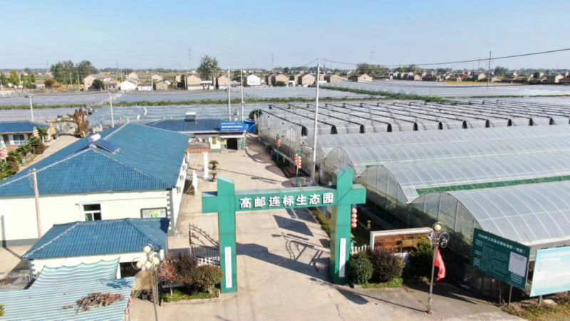 一镇一企｜高邮市连标生态园：电商发展为绿色食品插上“云翅膀”