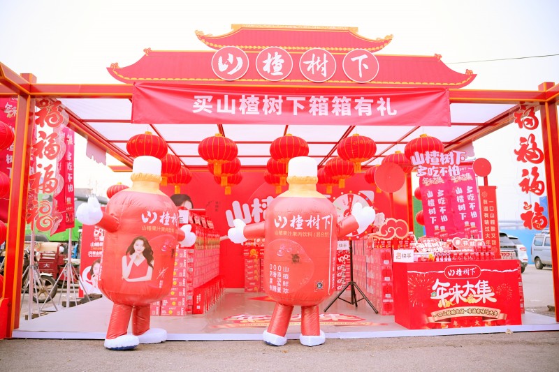 逛洛阳谷水汇年味大集，快手携手山楂树下陪老铁红火过大年(图4)