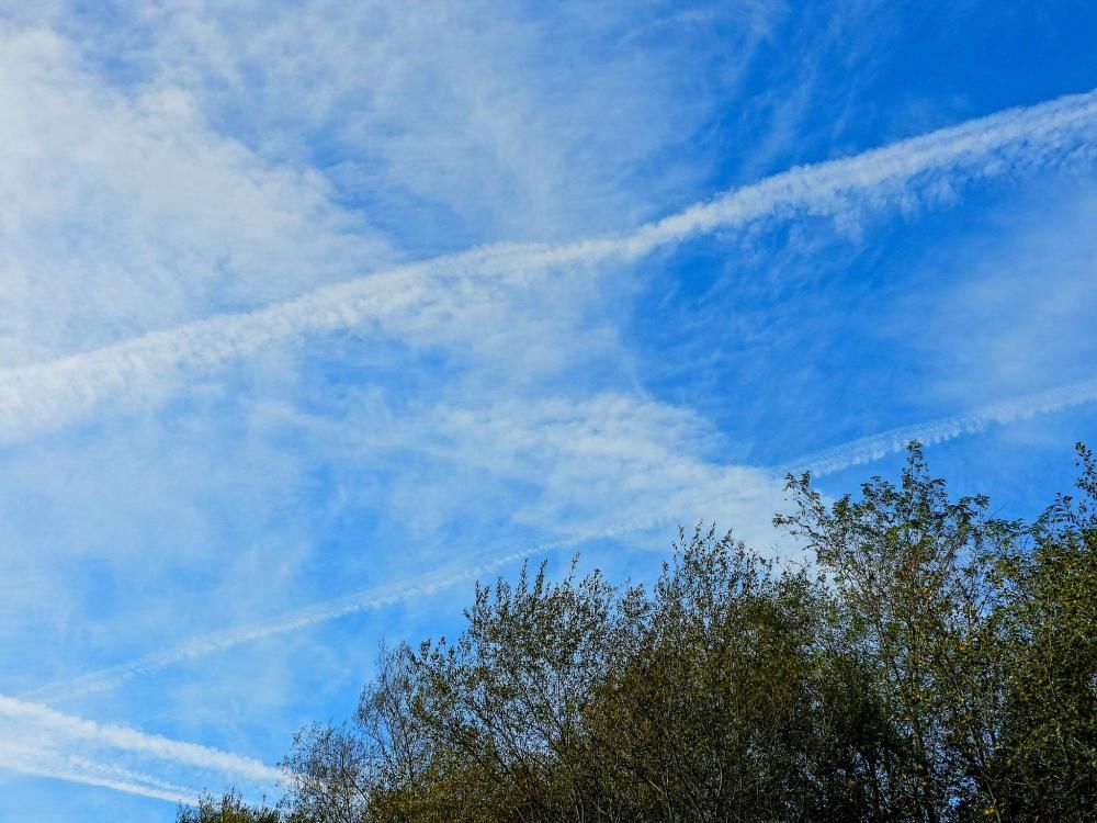 为什么彩虹是弯的?为什么航迹云有时出现有时没有?为什么雪后的世界特别安静?这些知识等你来get! 为什么彩虹是弯的?为什么航迹云有时出现有时没有?为什么雪后的世界特别安静?这些知识等你来get!