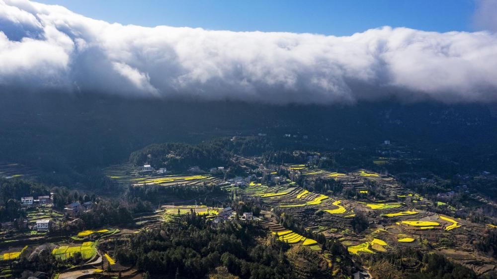 为什么彩虹是弯的?为什么航迹云有时出现有时没有?为什么雪后的世界特别安静?这些知识等你来get! 为什么彩虹是弯的?为什么航迹云有时出现有时没有?为什么雪后的世界特别安静?这些知识等你来get!