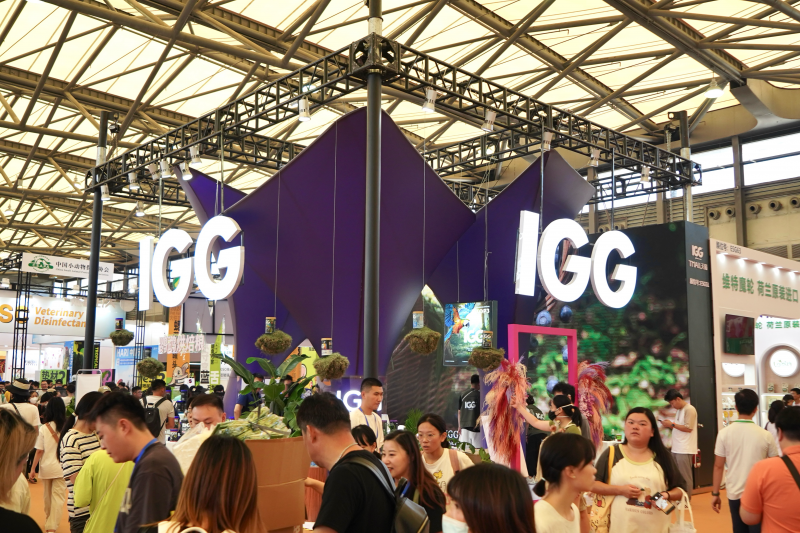 亚展盛事：IGG品牌斩获双奖，引领鹦鹉滋养丸科学喂养新篇章(图1)