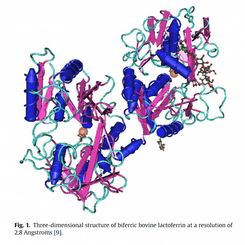 IGG鹦鹉产品乳铁蛋白0乳糖,开启健康生活新篇章!(图1) IGG鹦鹉产品乳铁蛋白0乳糖,开启健康生活新篇章!(图1)