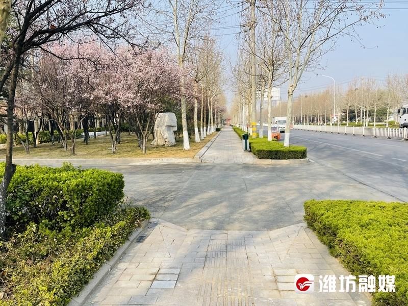 更舒心！540根挡车柱全部拆除