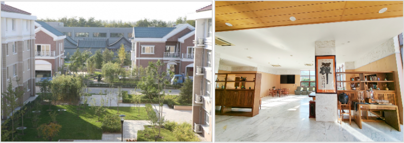 回顾“十四五” 展望“十五五”系列之——人保寿险：坚守人民性 书写新篇章(图1)