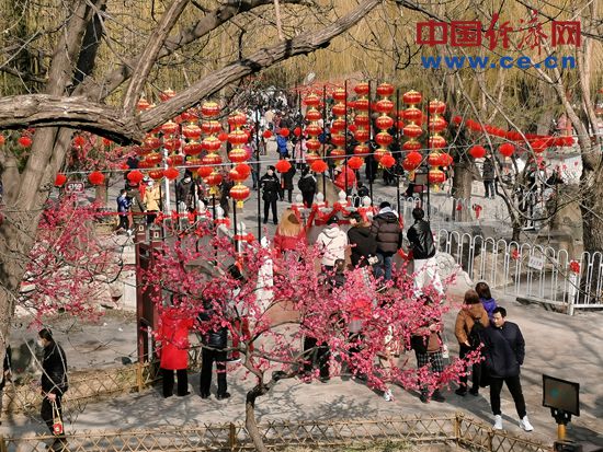 【新春走基层】北京:逛庙会,让“年味”拉满(图2) 【新春走基层】北京:逛庙会,让“年味”拉满(图2)