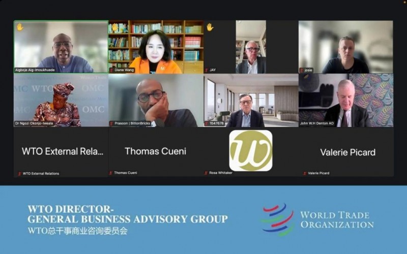 敦煌网王树彤WTO发声：数字赋能+社群支持，破解女性创业者的全球贸易困局(图1)