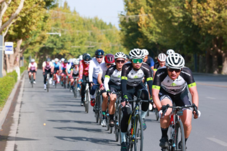 HiKAQkdsS8tTpSeQ.png image.png