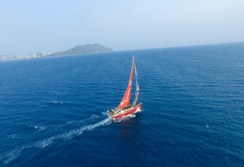 2025第十四届海帆赛盛大启幕，万茗堂邀您共鉴海帆盛宴(图5)