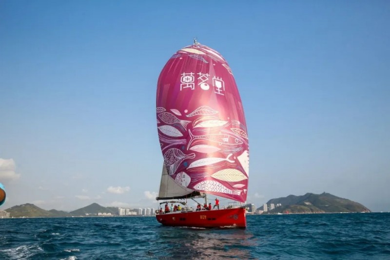 2025第十四届海帆赛盛大启幕，万茗堂邀您共鉴海帆盛宴(图10)