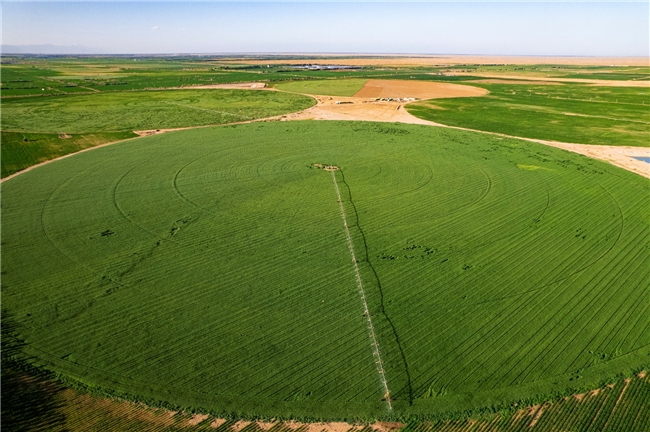 国际奥委会主席考文垂打卡蒙牛 携手打造体育、营养与绿色融合发展的世界级样本(图6) 国际奥委会主席考文垂打卡蒙牛 携手打造体育、营养与绿色融合发展的世界级样本(图6)