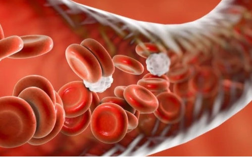 阿托伐他汀是治什么的？优选原研药、长期使用，有效降脂第一步(图3)