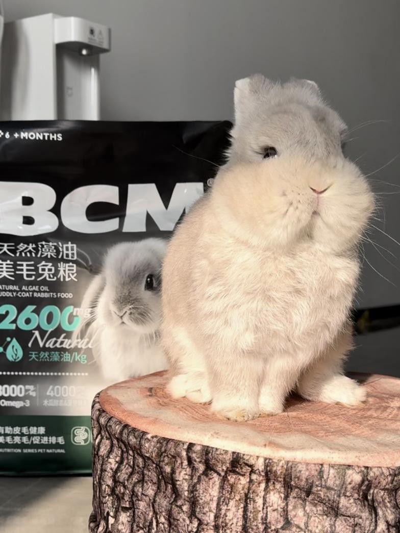 BCM兔粮用低温烘焙工艺 树立高品质小宠食品领域的新标杆!(图3) BCM兔粮用低温烘焙工艺 树立高品质小宠食品领域的新标杆!(图3)