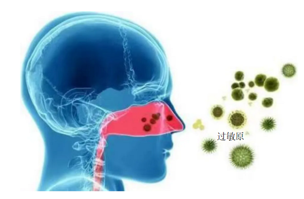 1712738635416580.png 5.png