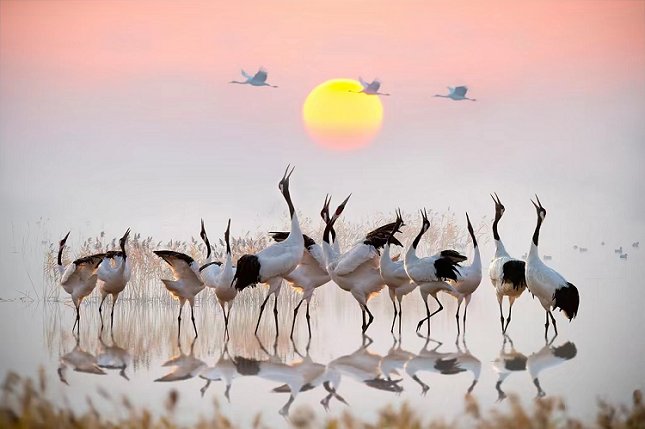 12个重大项目集中签约、计划总投资167亿元！盐城（上海）长三角高质量发展合作恳谈会举行