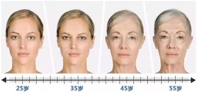 衰老是老年病之源，八子补肾胶囊有望让身体更健康更年轻(图1)